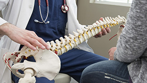 Doctor holding spinal model