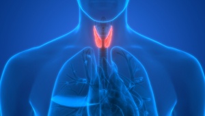 Thyroid